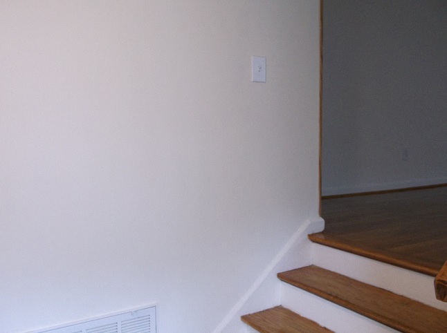 Gallery Photo 5